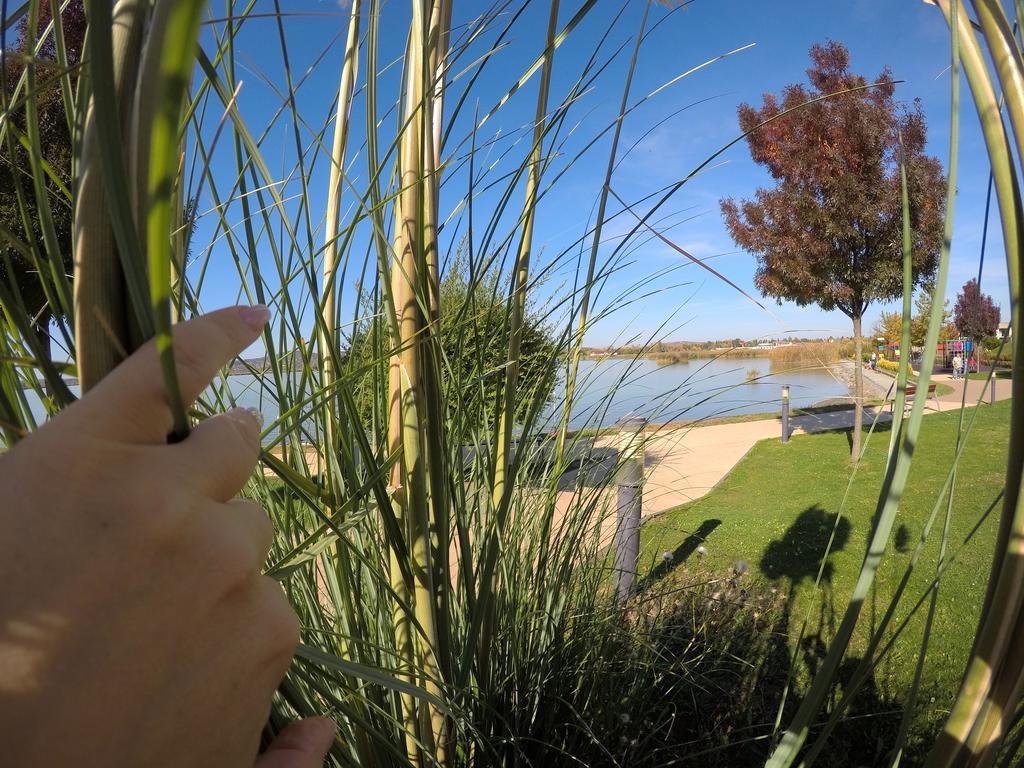 Lake And Spa Apartman Velence Exterior foto